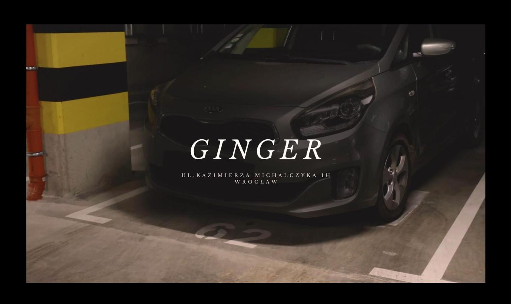 Apartament Ginger - Stare Miasto - Bezplatny Parking - Youtube Apartament Ginger We Wroclawiu Екстериор снимка